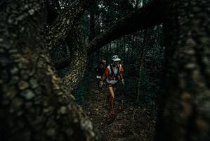 BIB: 
                            <button type="button" onclick="openModal(25688474)" class="btn btn-primary btn-sm float-right btn-popup" data-toggle="modal" data-target=".modal-high-quality">
                        <i class="fas fa-shopping-cart"></i> Add to Cart
                    </button>
                                            <button type="button" onclick="isThisMe(25688474, true)" class="btn btn-success btn-sm float-right btn-popup btn-isme hidden" data-toggle="tooltip" data-placement="bottom" title="นี่คือรูปของคุณใช่ไหม คลิกที่นี่เพื่อเอาเข้าอัลบั้ม">
                        <i class="fas fa-plus"></i> Add to album
                    </button>
                    <button type="button" onclick="isThisMe(25688474, false)" class="btn btn-warning btn-sm float-right btn-popup btn-isnotme hidden">
                        <i class="fas fa-ban"></i> Remove from album
                    </button>